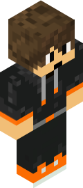 Leekoper08