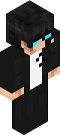 2017 Minecraft Skin