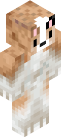 AJFiveOnes Minecraft Skin