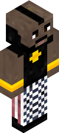 Duck Minecraft Skin