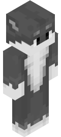 snasii Minecraft Skin