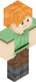 Switch Minecraft Skin