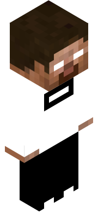 Player Skin