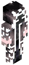 AArctic1's Minecraft character