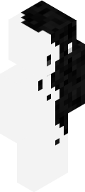 the Minecraft Skin