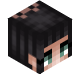 EN0RME_TORTUE