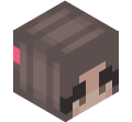 XDSLAY3R