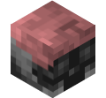 Another_n00BY