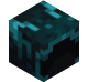 _Procyon
