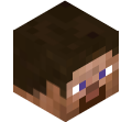 Steves's Head